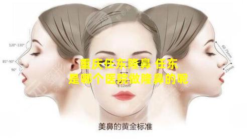 重庆任东隆鼻 任东是哪个医院做隆鼻的呢
